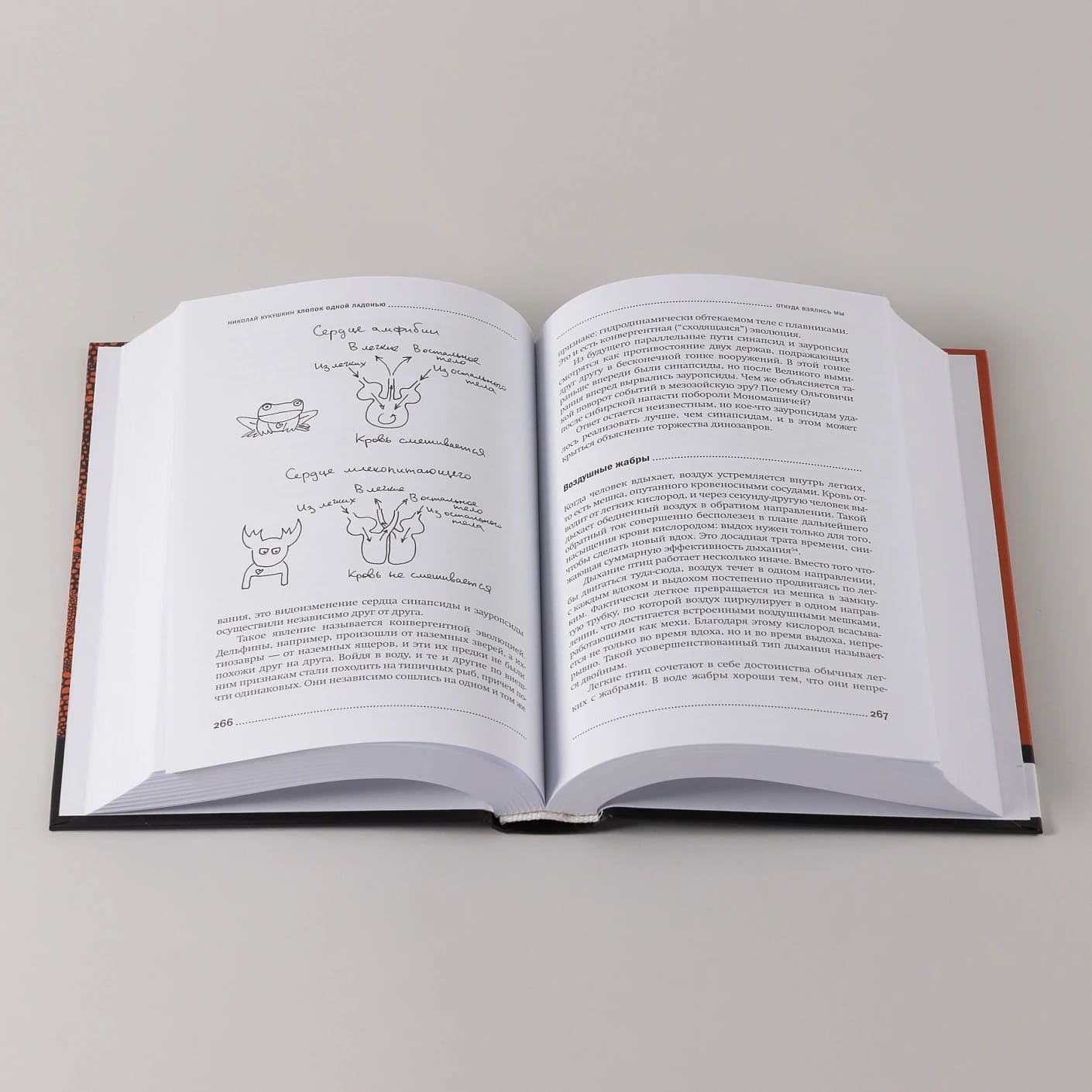 Хлопок одной ладонью: Как неживая природа породила человеческий разум