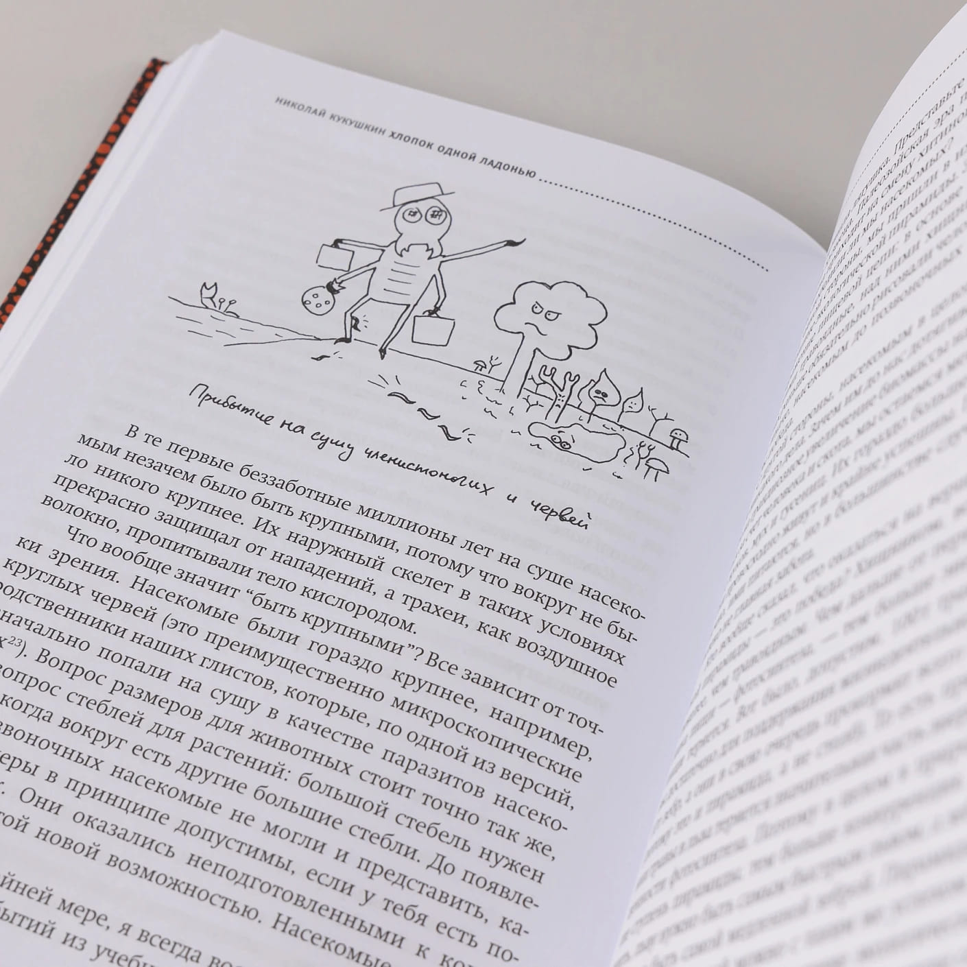 Хлопок одной ладонью: Как неживая природа породила человеческий разум