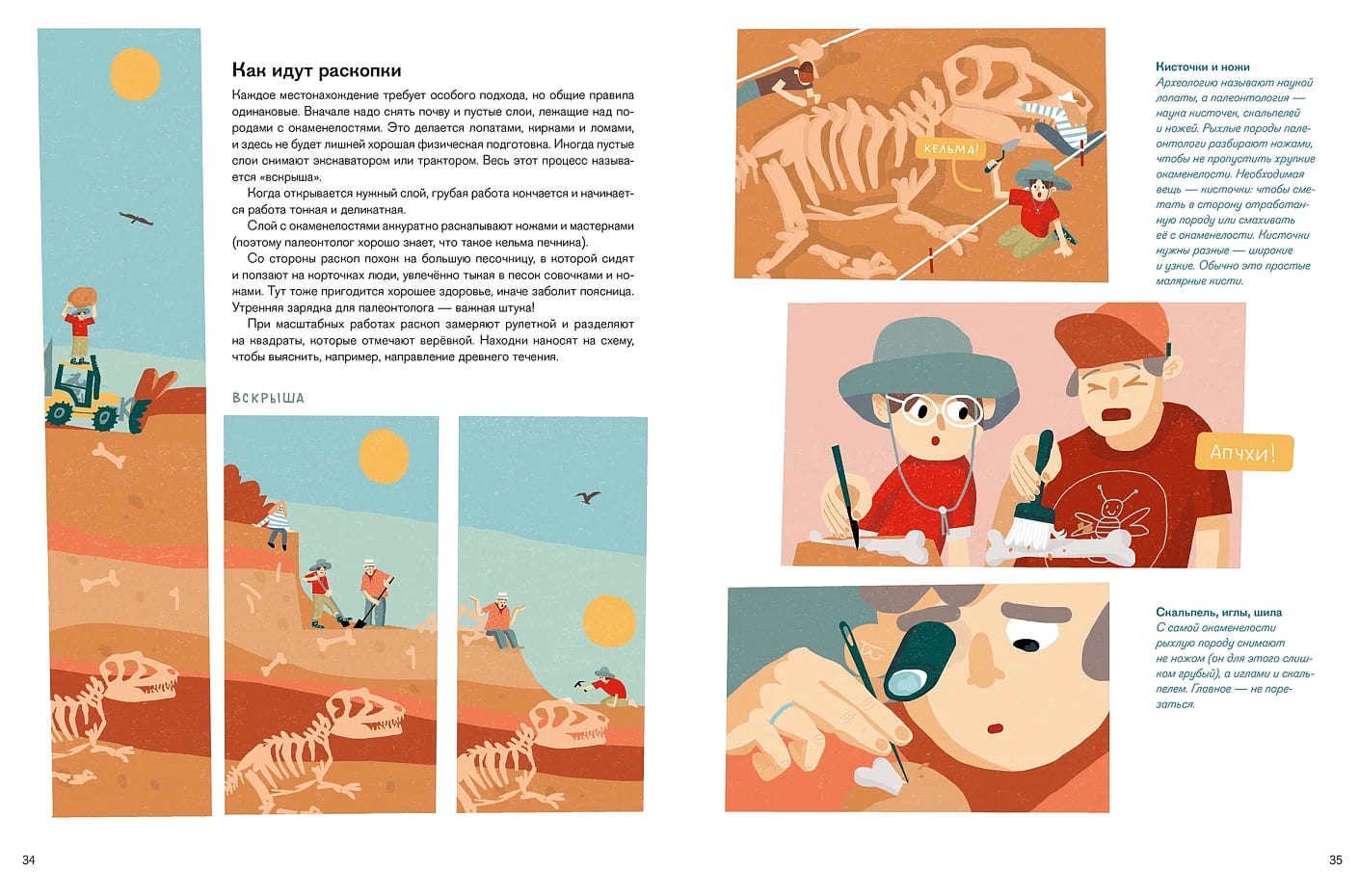 Профессия 一 палеонтолог: От камня до динозавра