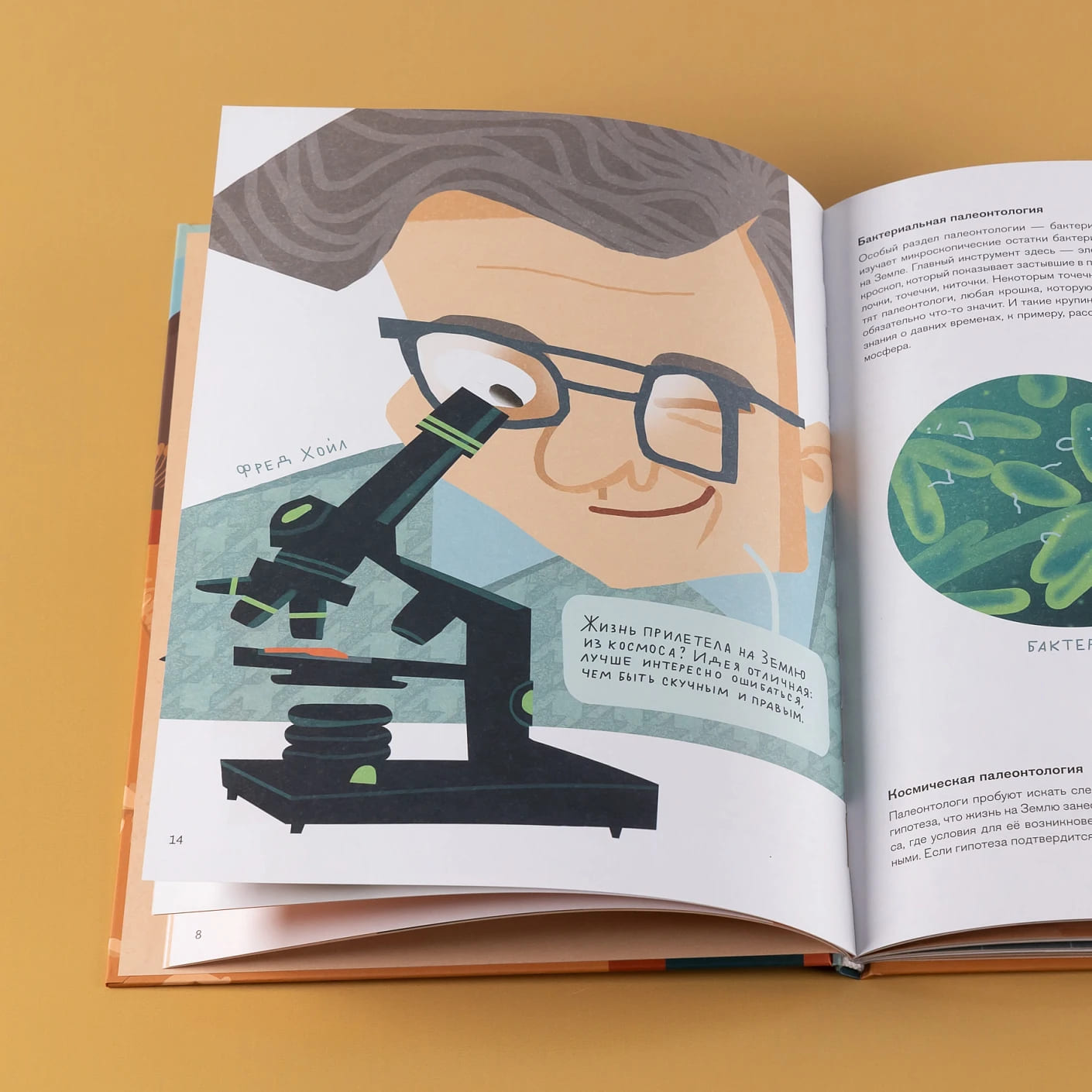 Профессия 一 палеонтолог: От камня до динозавра