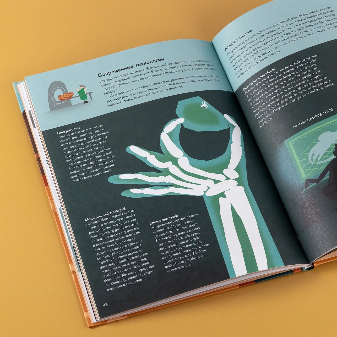 Профессия 一 палеонтолог: От камня до динозавра