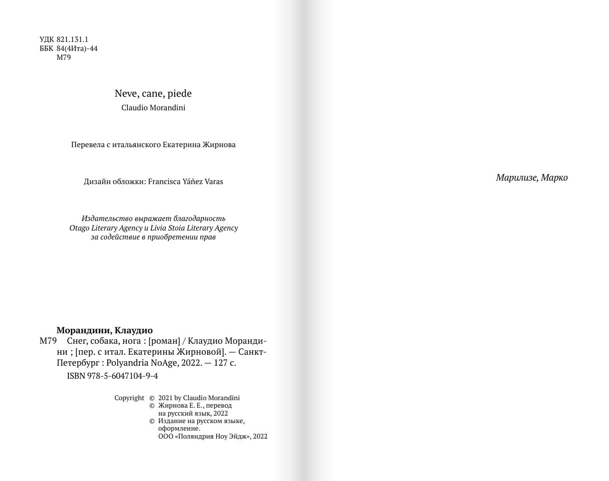 Снег, собака, нога