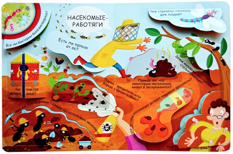 Волшебные окошки. Микромир