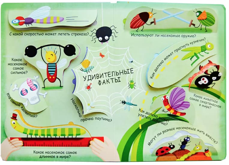 Волшебные окошки. Микромир