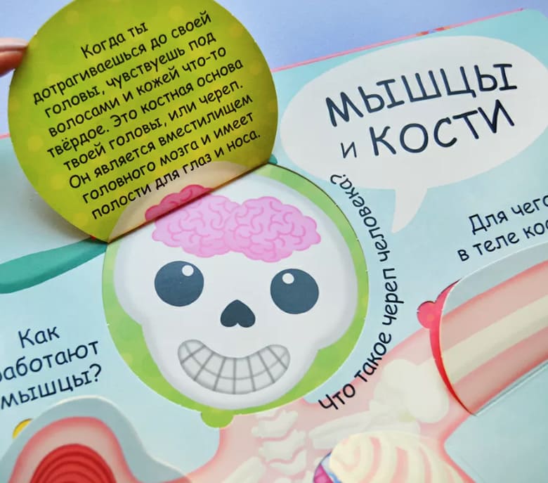 Волшебные окошки. Моё тело