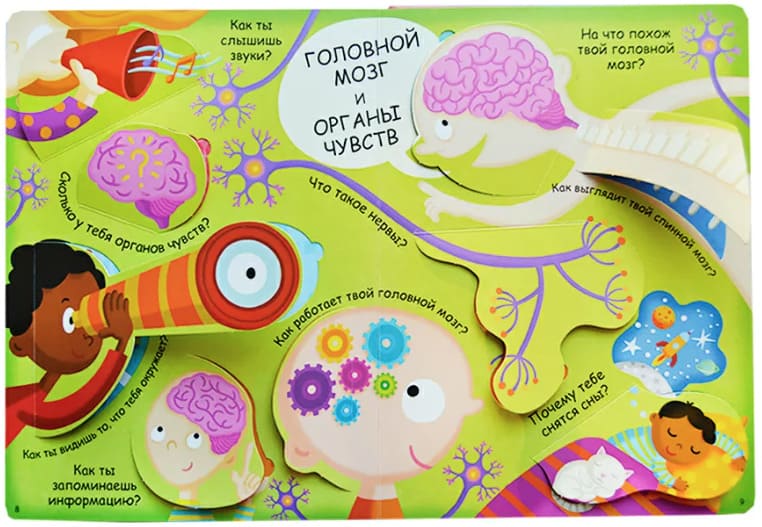 Волшебные окошки. Моё тело