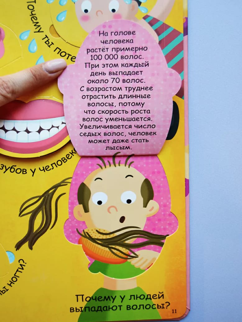 Волшебные окошки. Моё тело