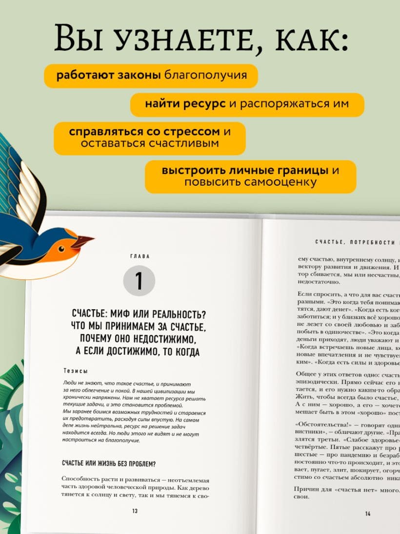 Битва за ресурс. Отчего люди борются за счастье, вместо того чтобы в нём жить