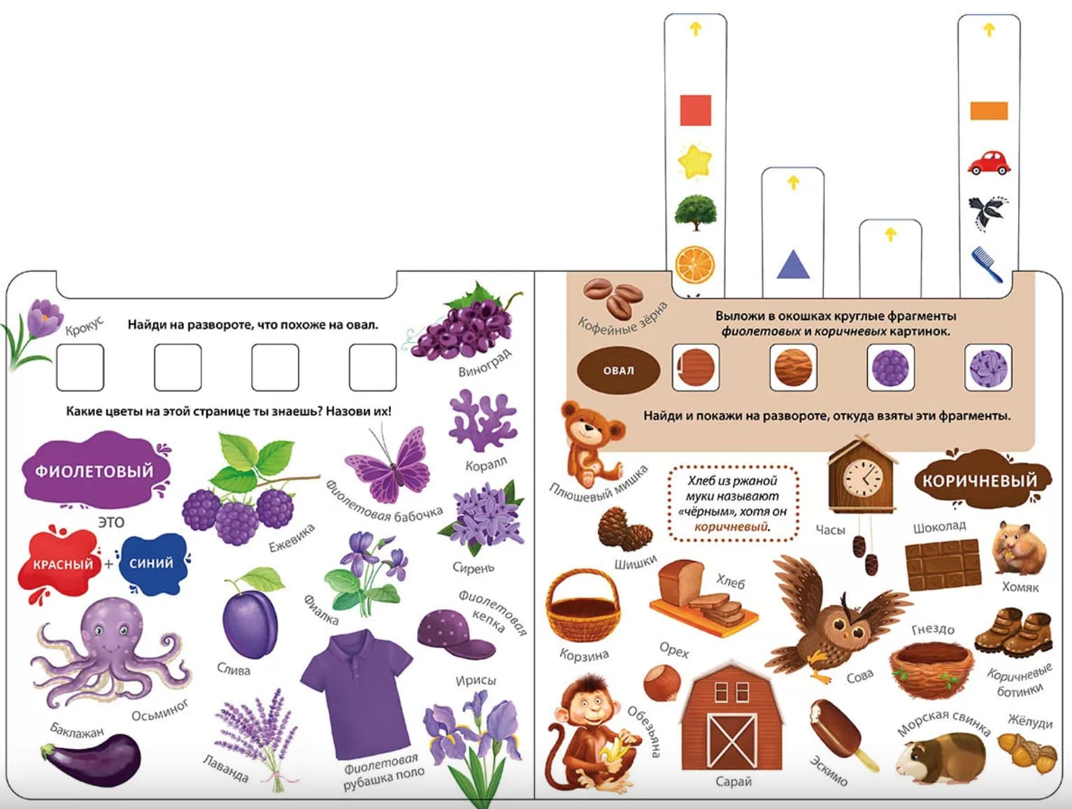 Книга-тренажёр. Изучаем слова, цвета и формы