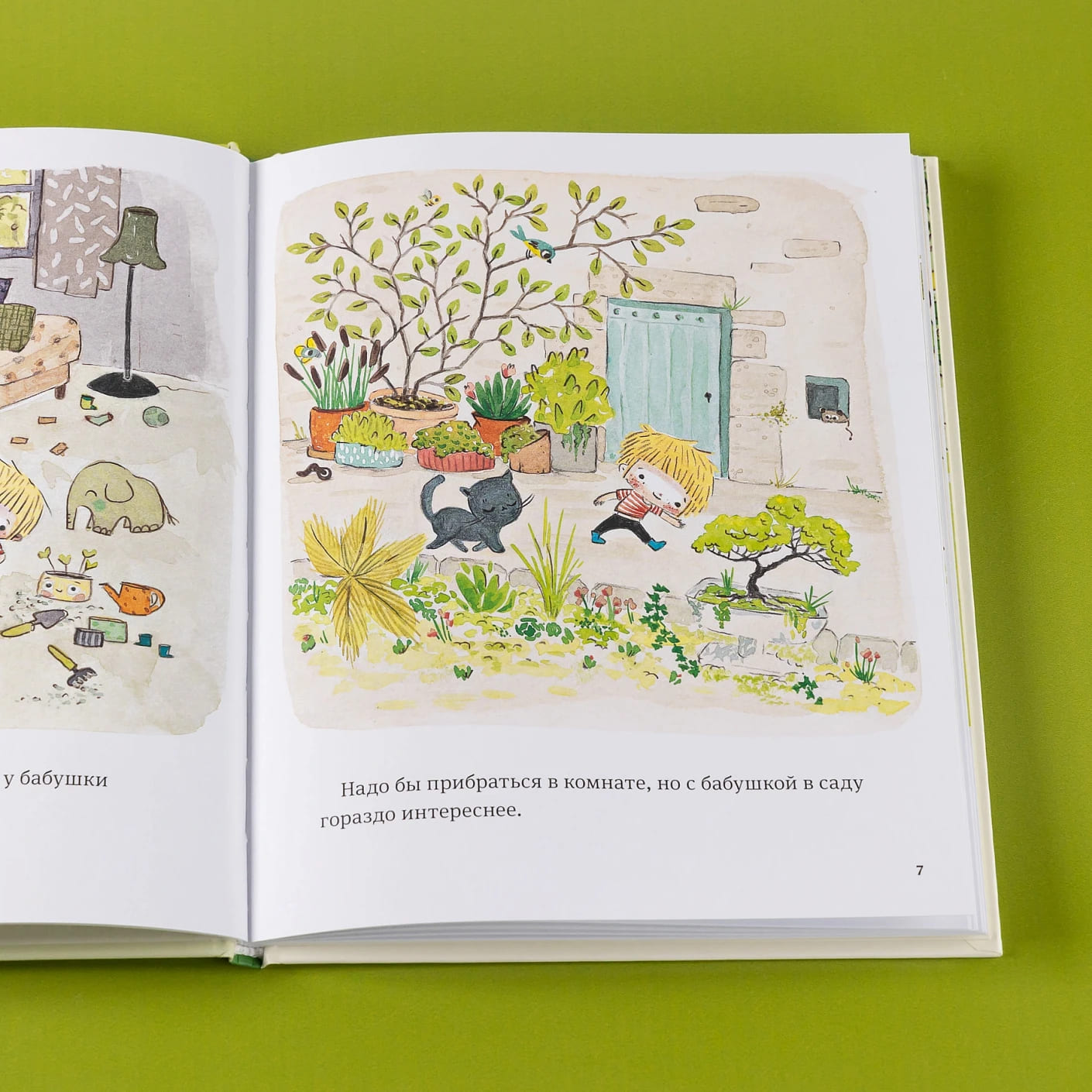 В саду Базилика. Как какают деревья?