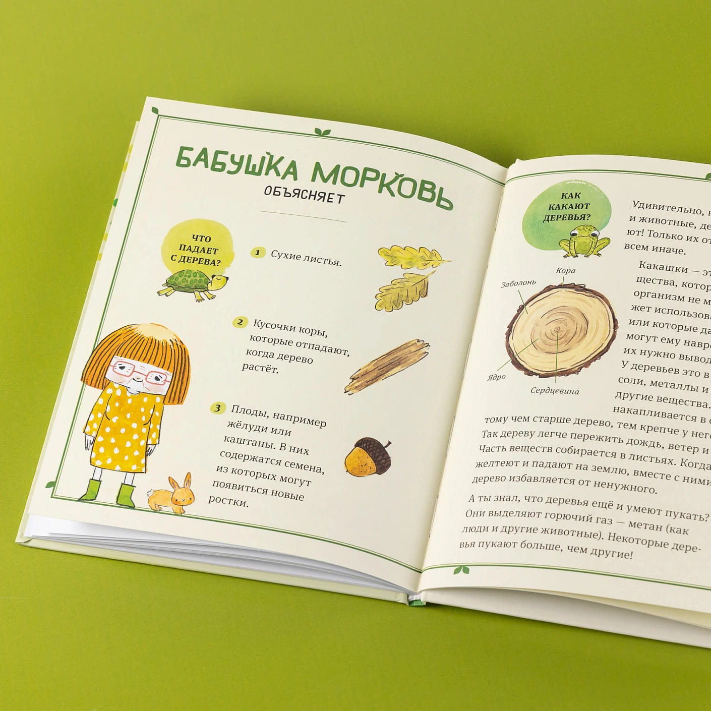 В саду Базилика. Как какают деревья?