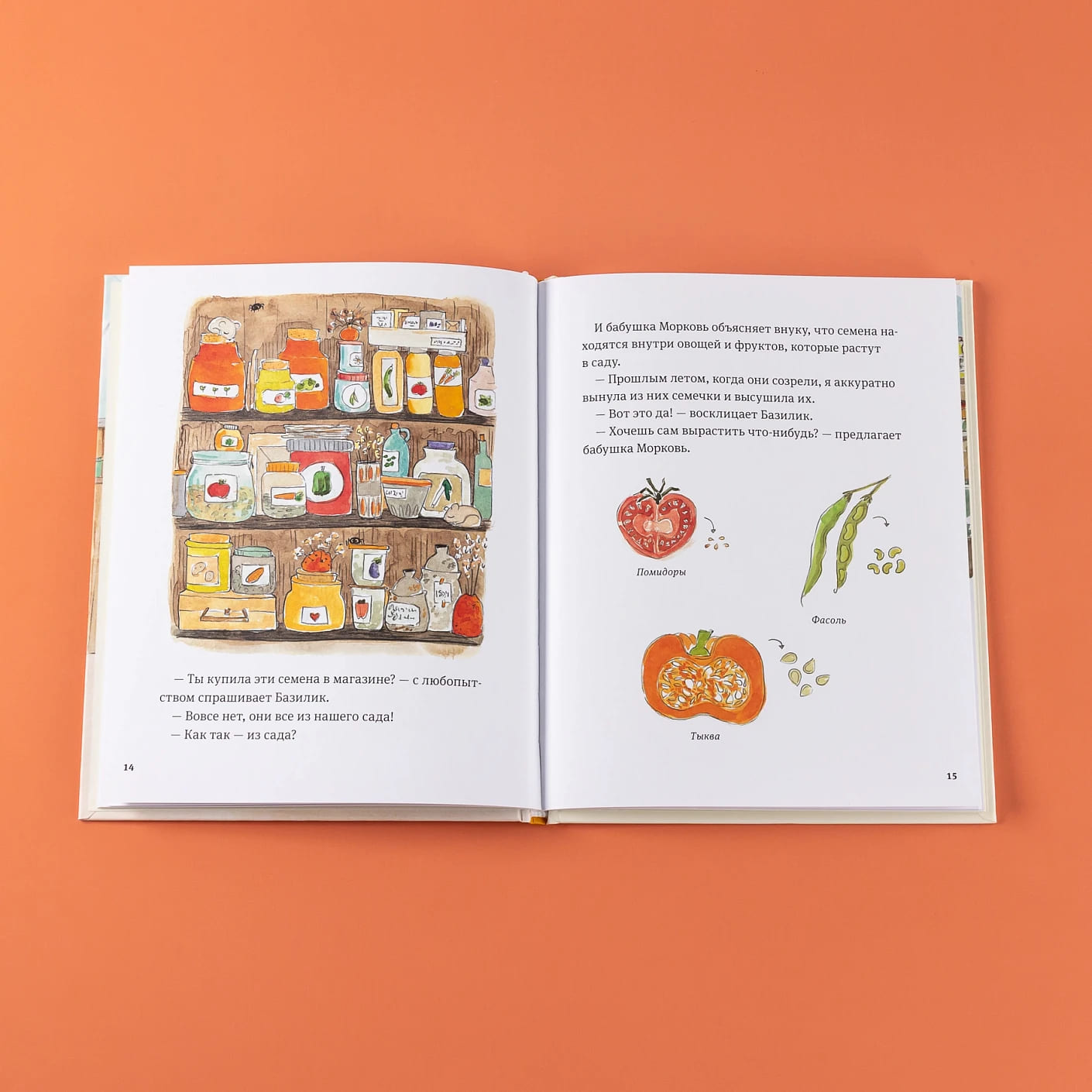 В саду Базилика. Как появляются новые растения?