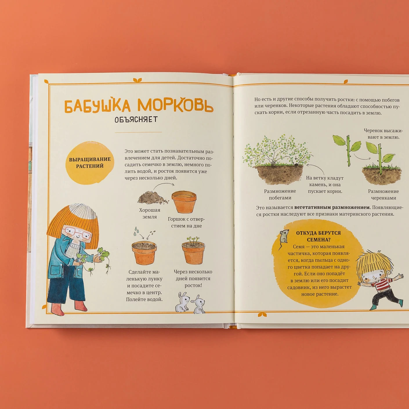 В саду Базилика. Как появляются новые растения?