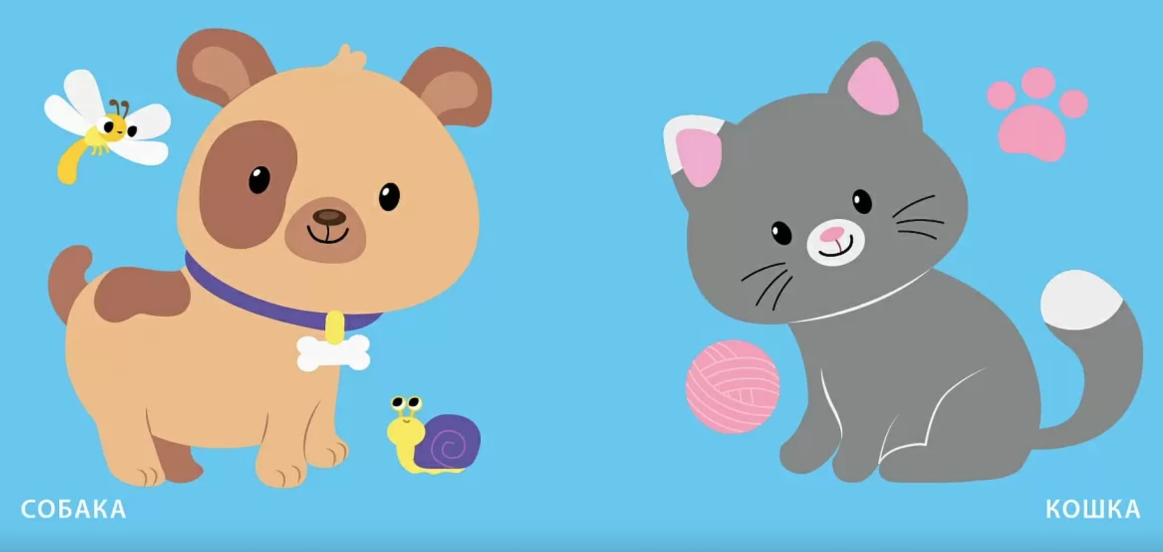 Книжка для купания. Книжка-проявляшка для малыша