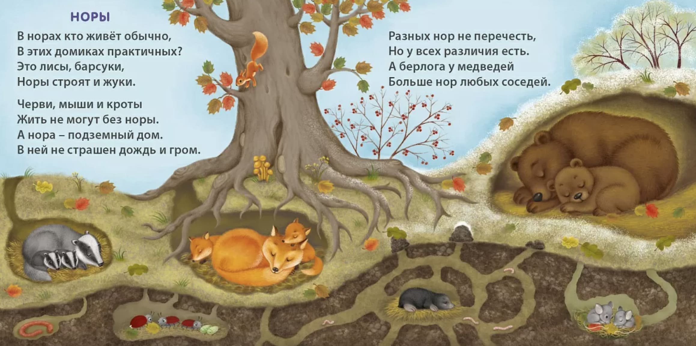 Книжки-картонки. Удивительные дома животных