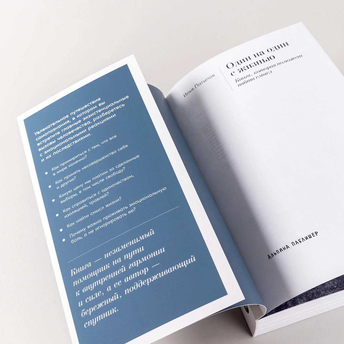 Один на один с жизнью: Книга, которая поможет найти смысл