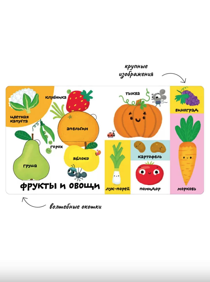 Мои первые 100 слов с окошками. Ферма