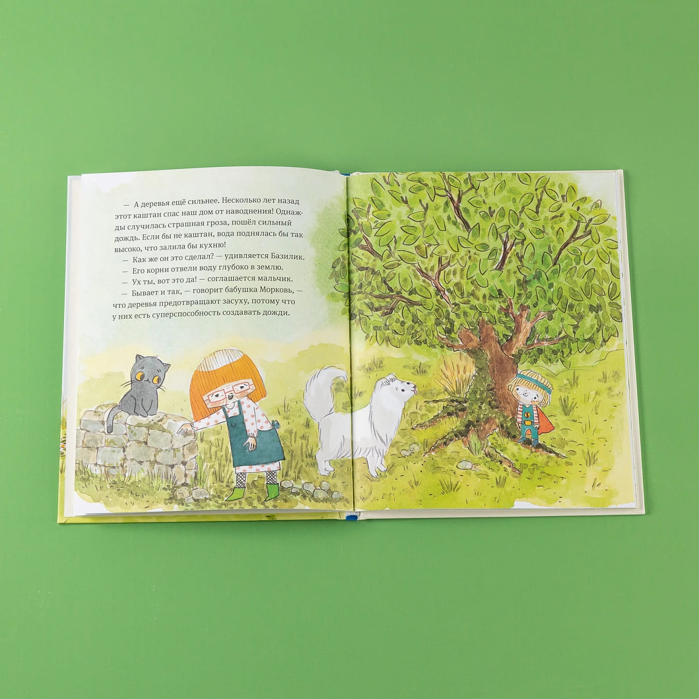 В саду Базилика. Растения обладают суперспособностями