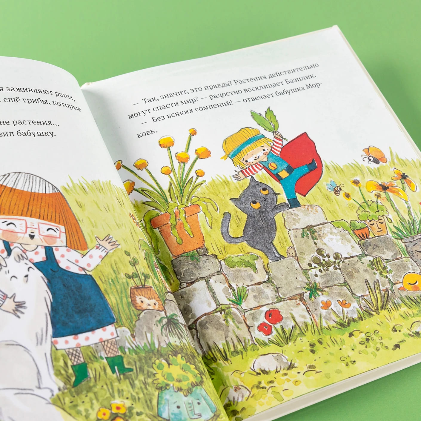 В саду Базилика. Растения обладают суперспособностями