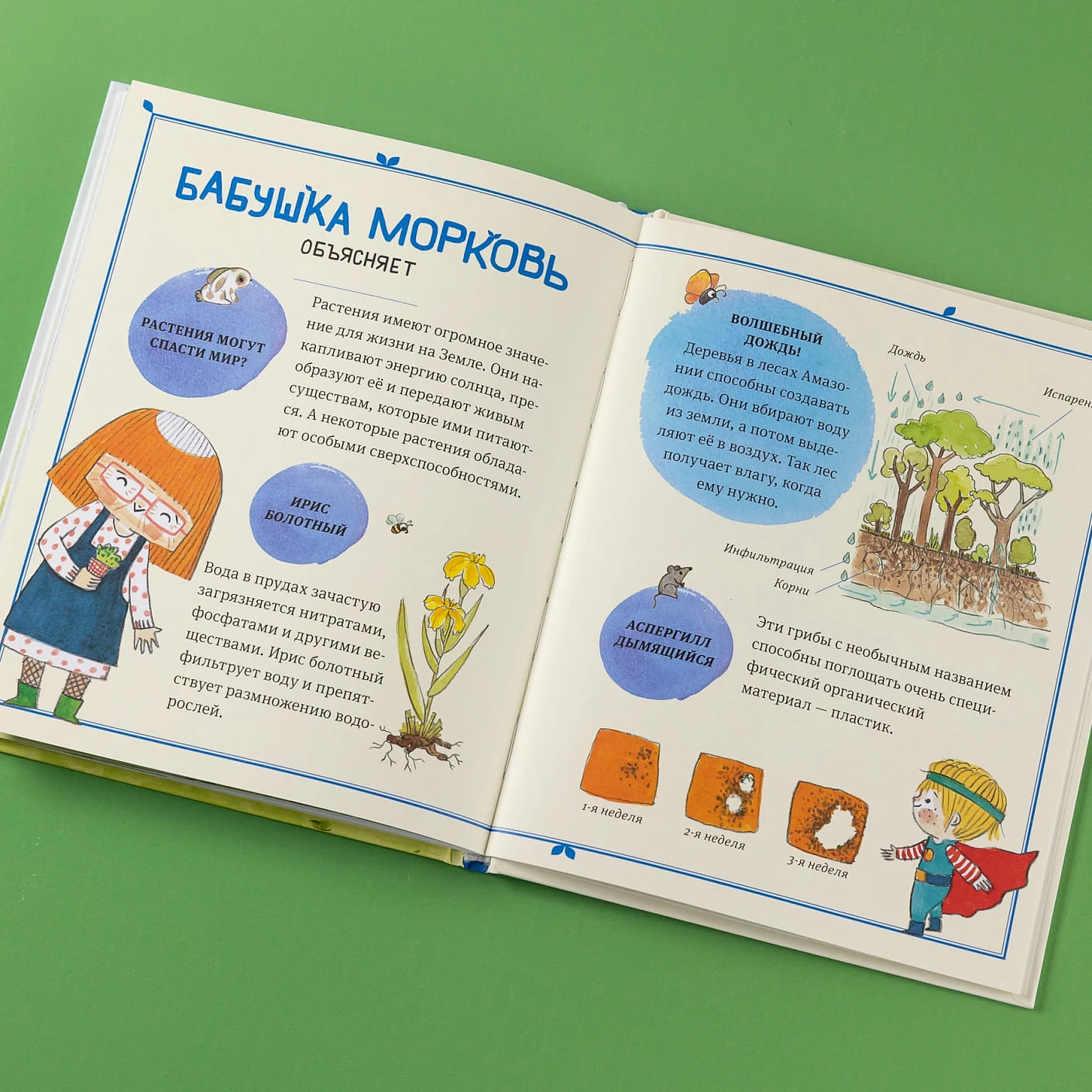 В саду Базилика. Растения обладают суперспособностями