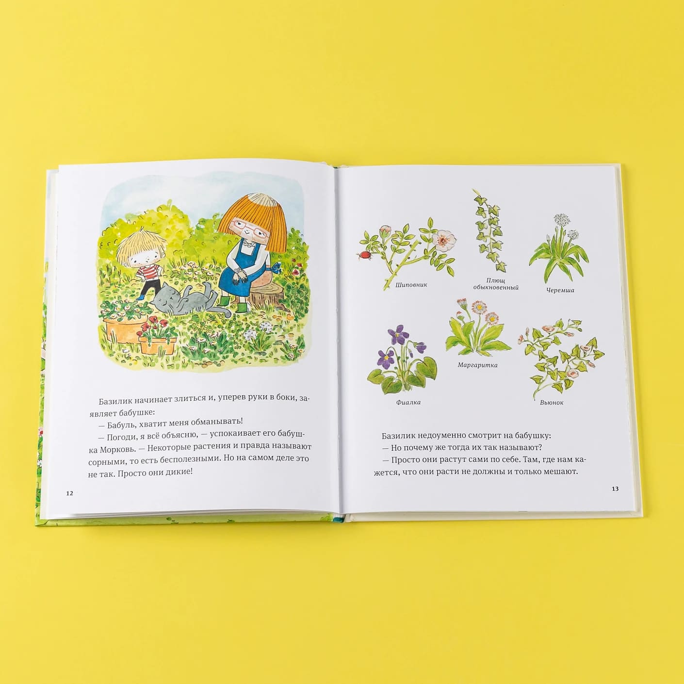 В саду Базилика. Сорняков не существует!