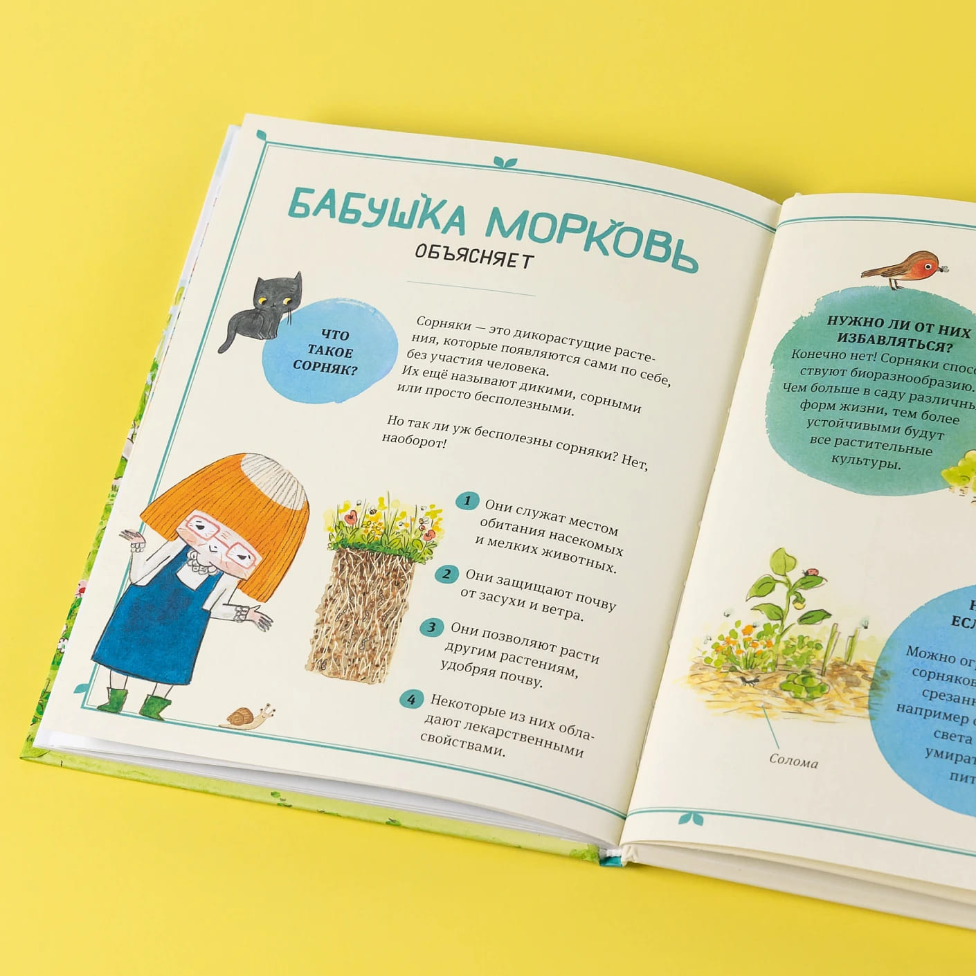 В саду Базилика. Сорняков не существует!