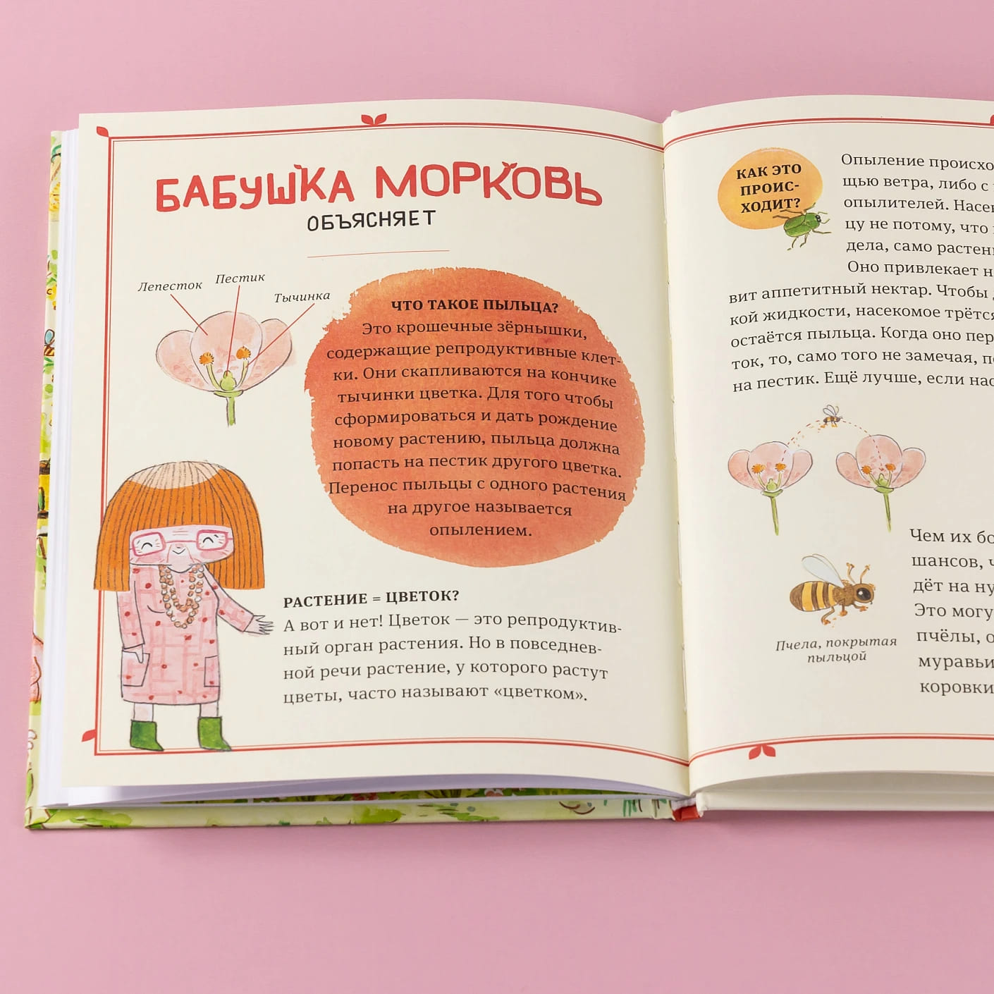 В саду Базилика. Умеют ли растения любить?