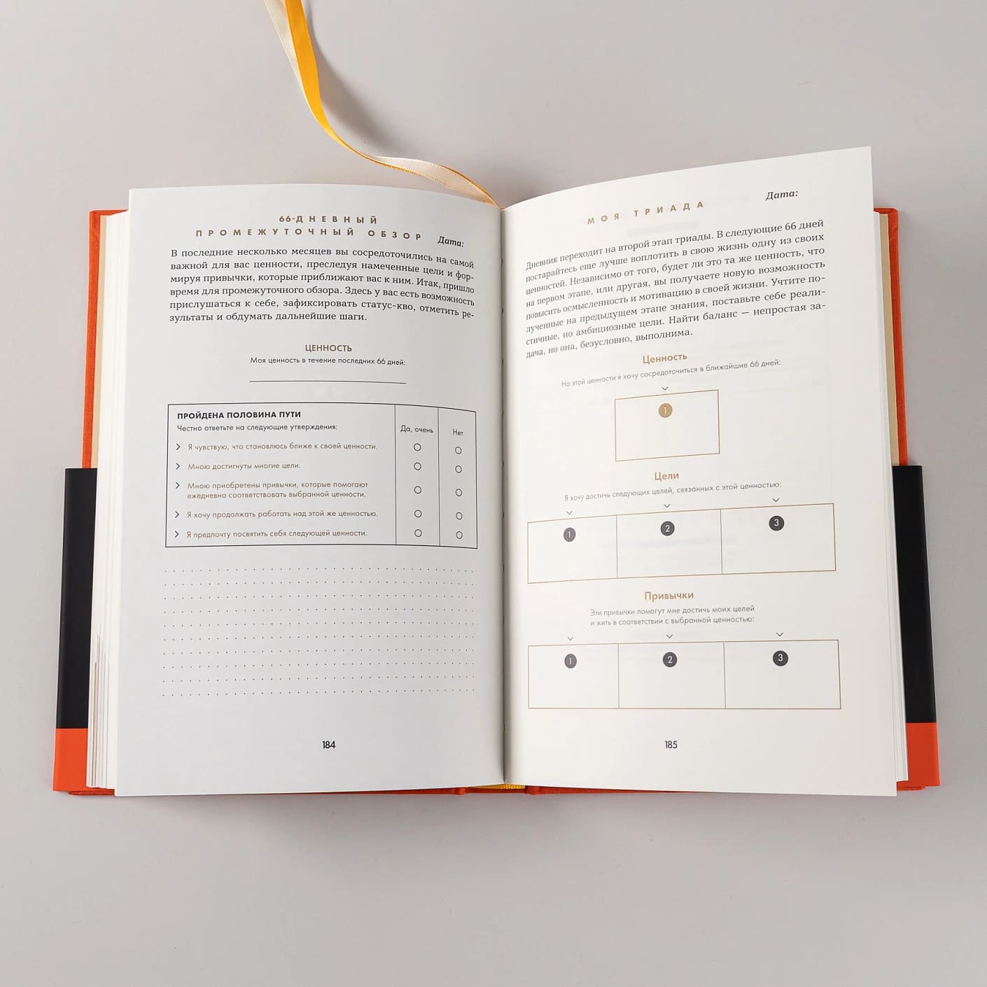 6 минут. Дневник успеха (шафран)