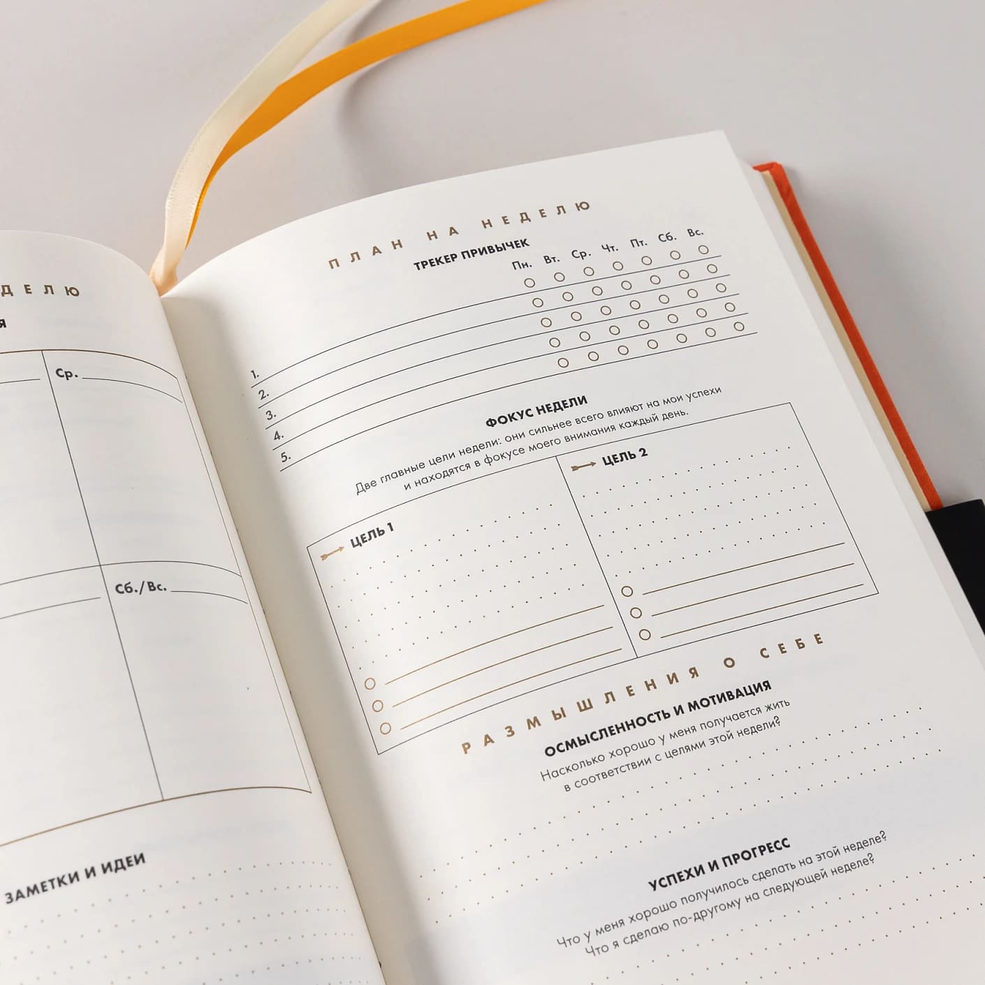 6 минут. Дневник успеха (шафран)