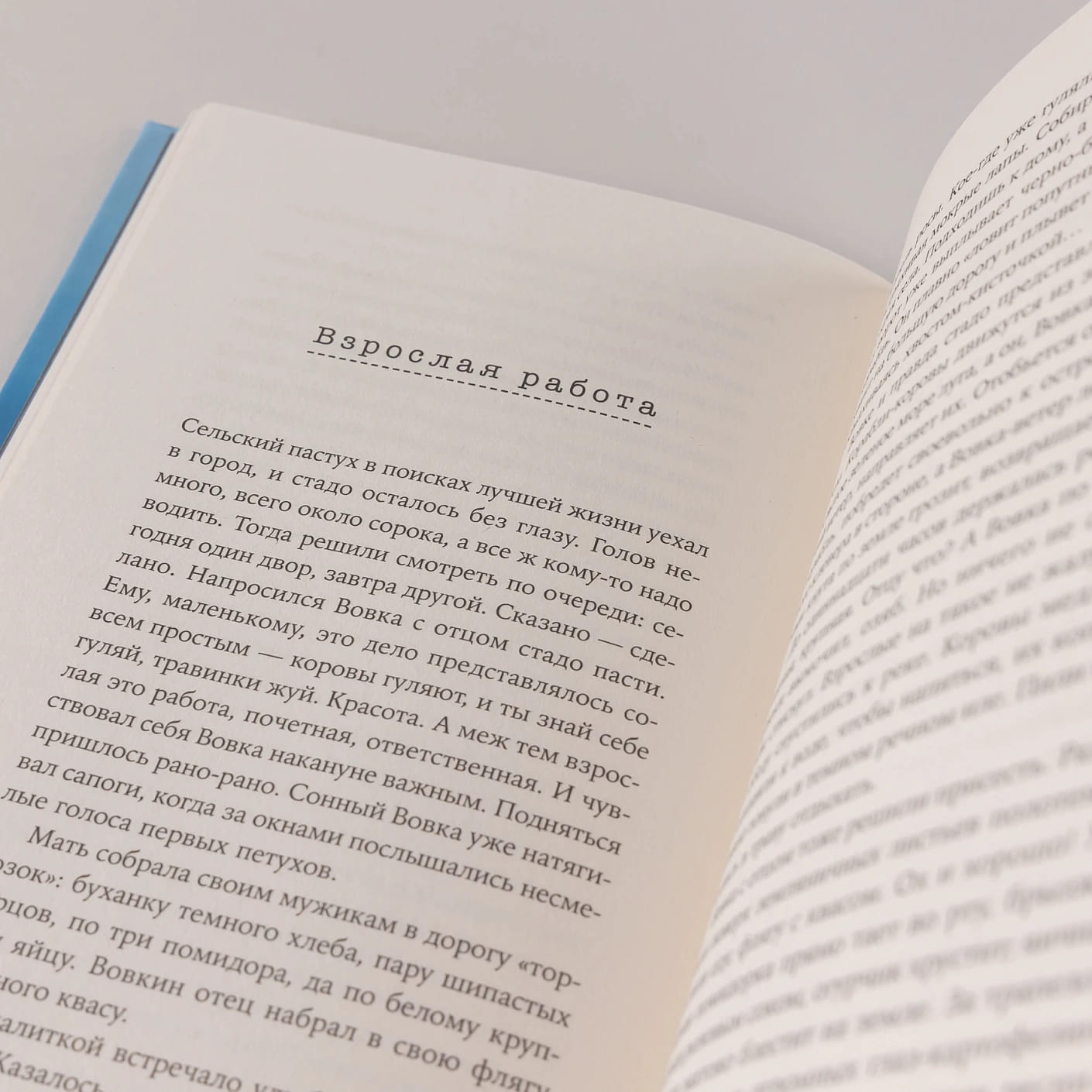 Чужая сторона