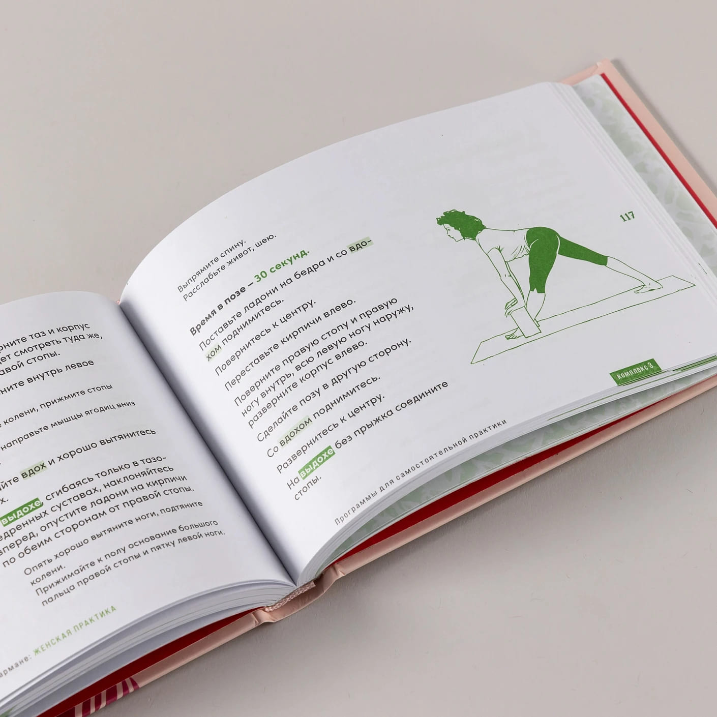 Йога в кармане: Женская практика. Руководство по самостоятельной практике