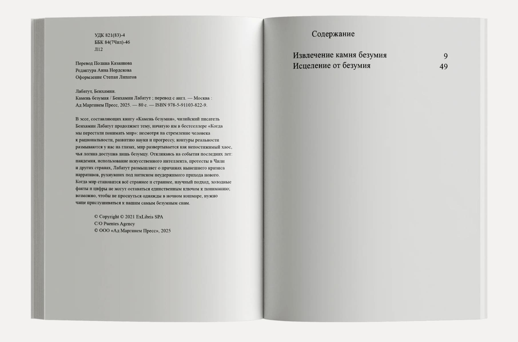 Камень безумия