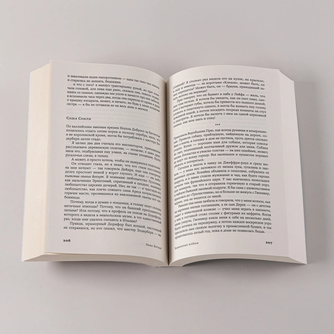 Каменные клёны