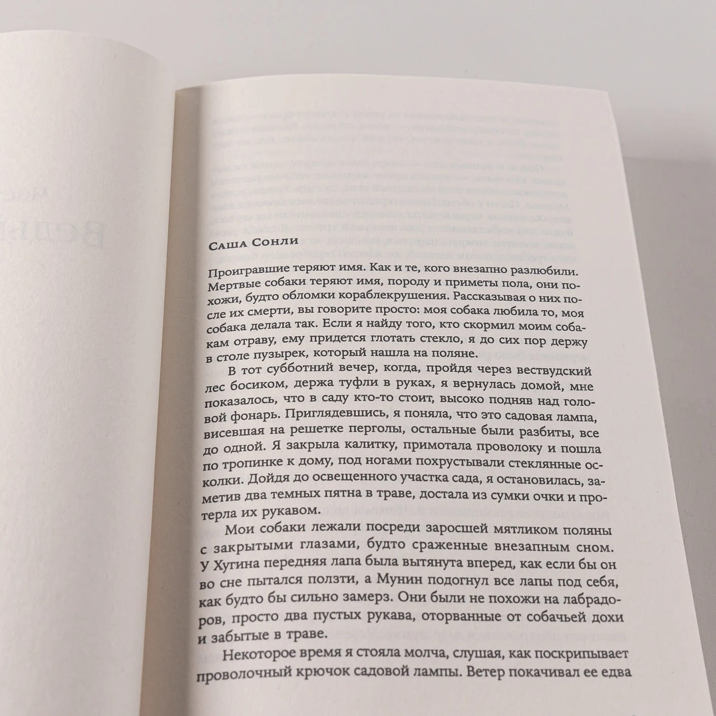 Каменные клёны