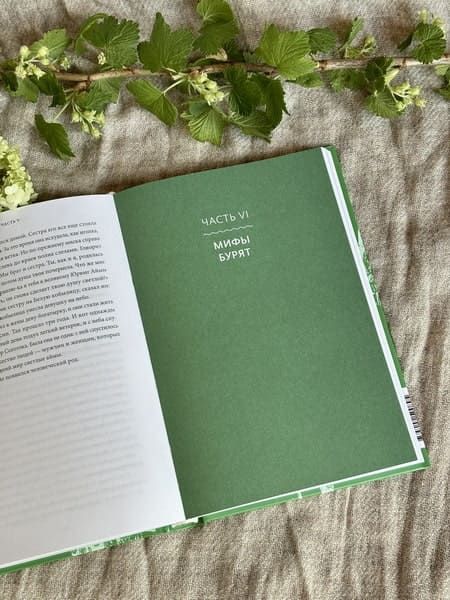 Мифы Восточной Сибири. От Ангары и Енисея до небесного кузнеца Божинтоя и солнечной девы Нёлтек