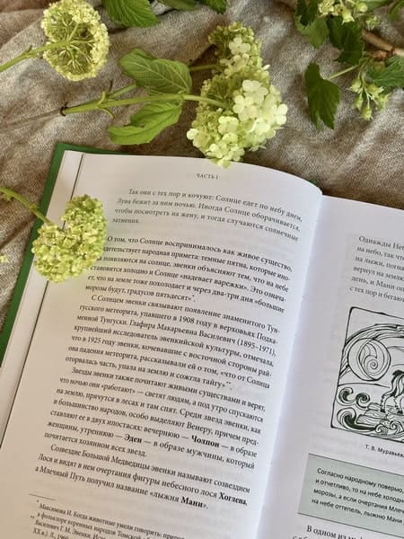 Мифы Восточной Сибири. От Ангары и Енисея до небесного кузнеца Божинтоя и солнечной девы Нёлтек