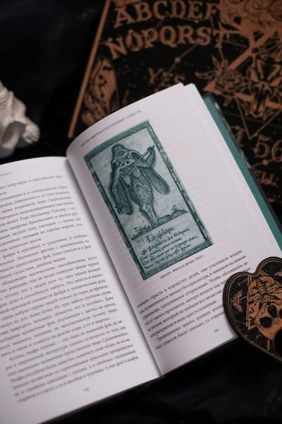 Настоящая история магии. От ритуалов каменного века и друидов до алхимии и Колеса года