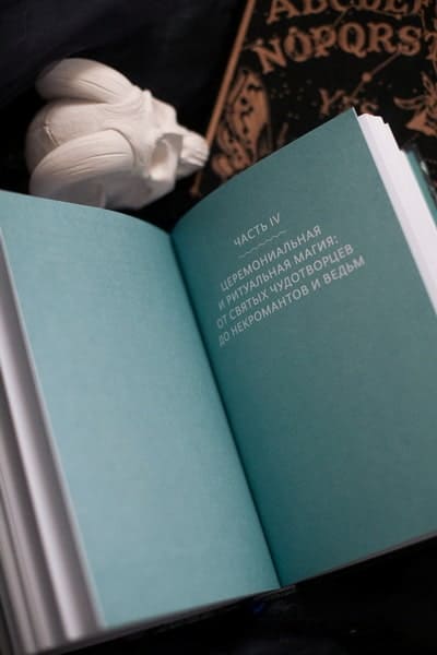 Настоящая история магии. От ритуалов каменного века и друидов до алхимии и Колеса года