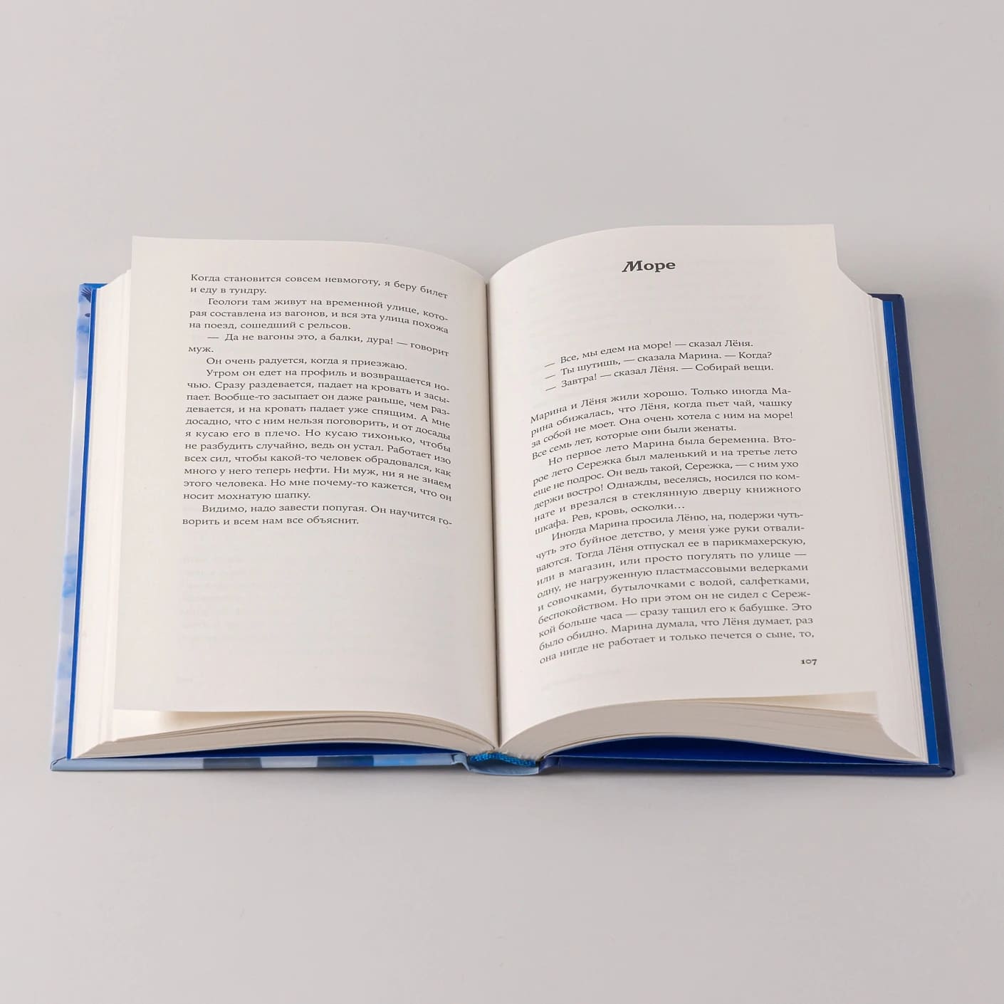 Остановка грачей по пути на юг