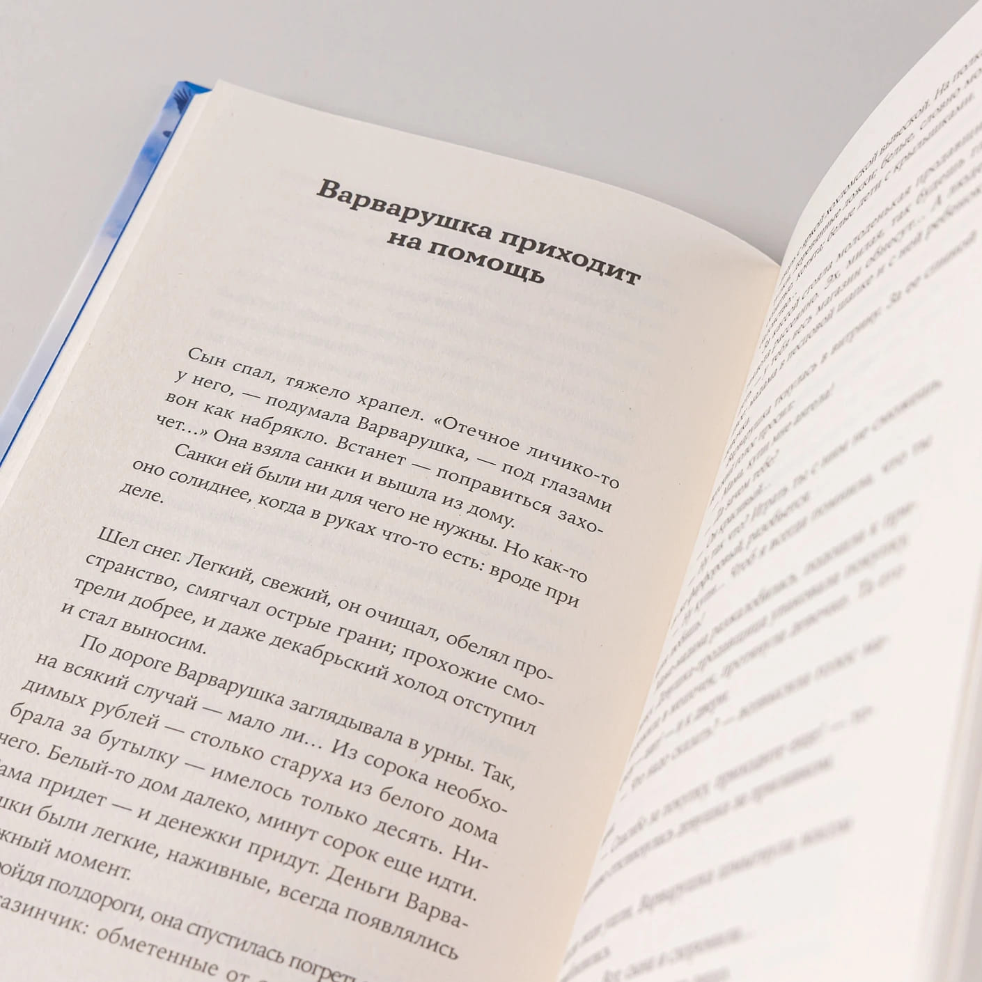 Остановка грачей по пути на юг