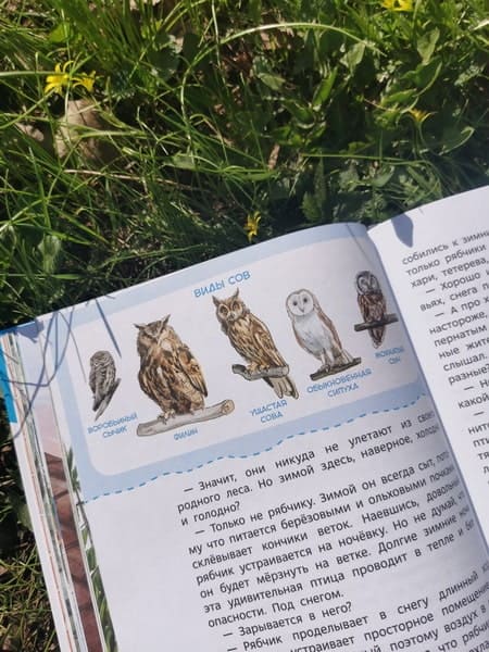 Птицы. Детская энциклопедия