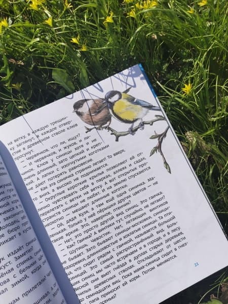 Птицы. Детская энциклопедия