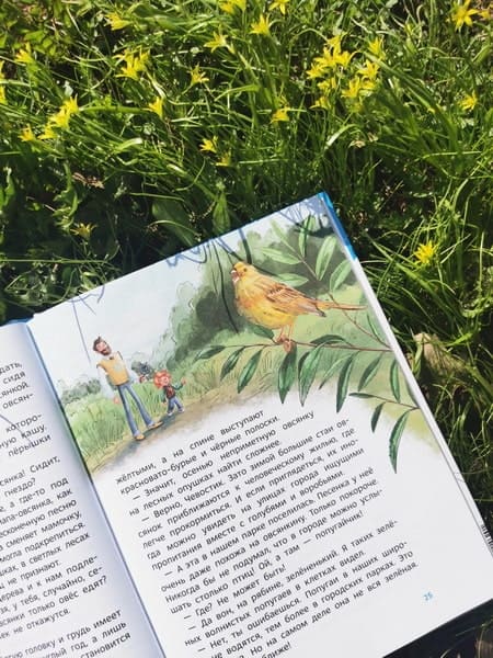 Птицы. Детская энциклопедия