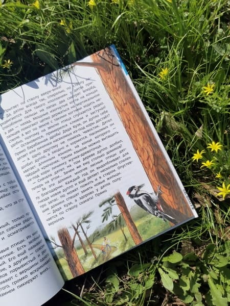 Птицы. Детская энциклопедия