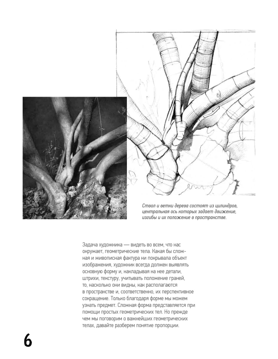 Школа рисования. Форма, объём, пропорции