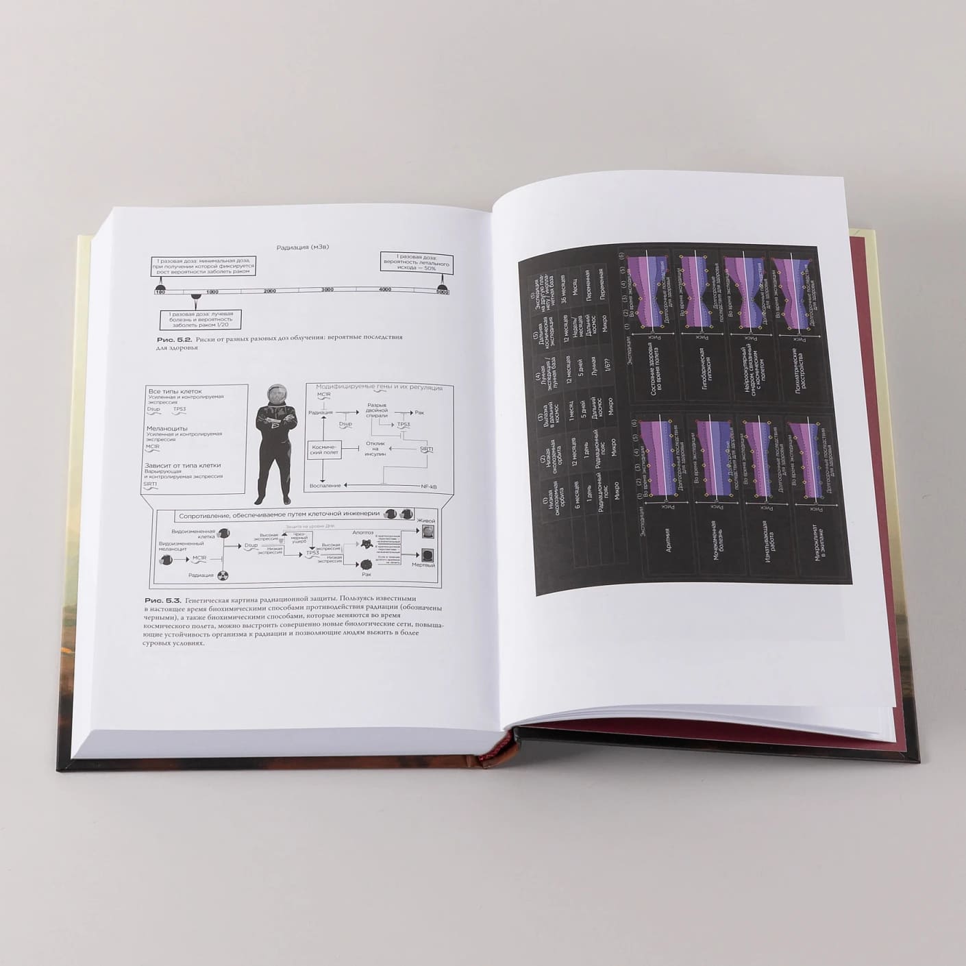 Следующие 500 лет: Как подготовить человека к жизни на других планетах