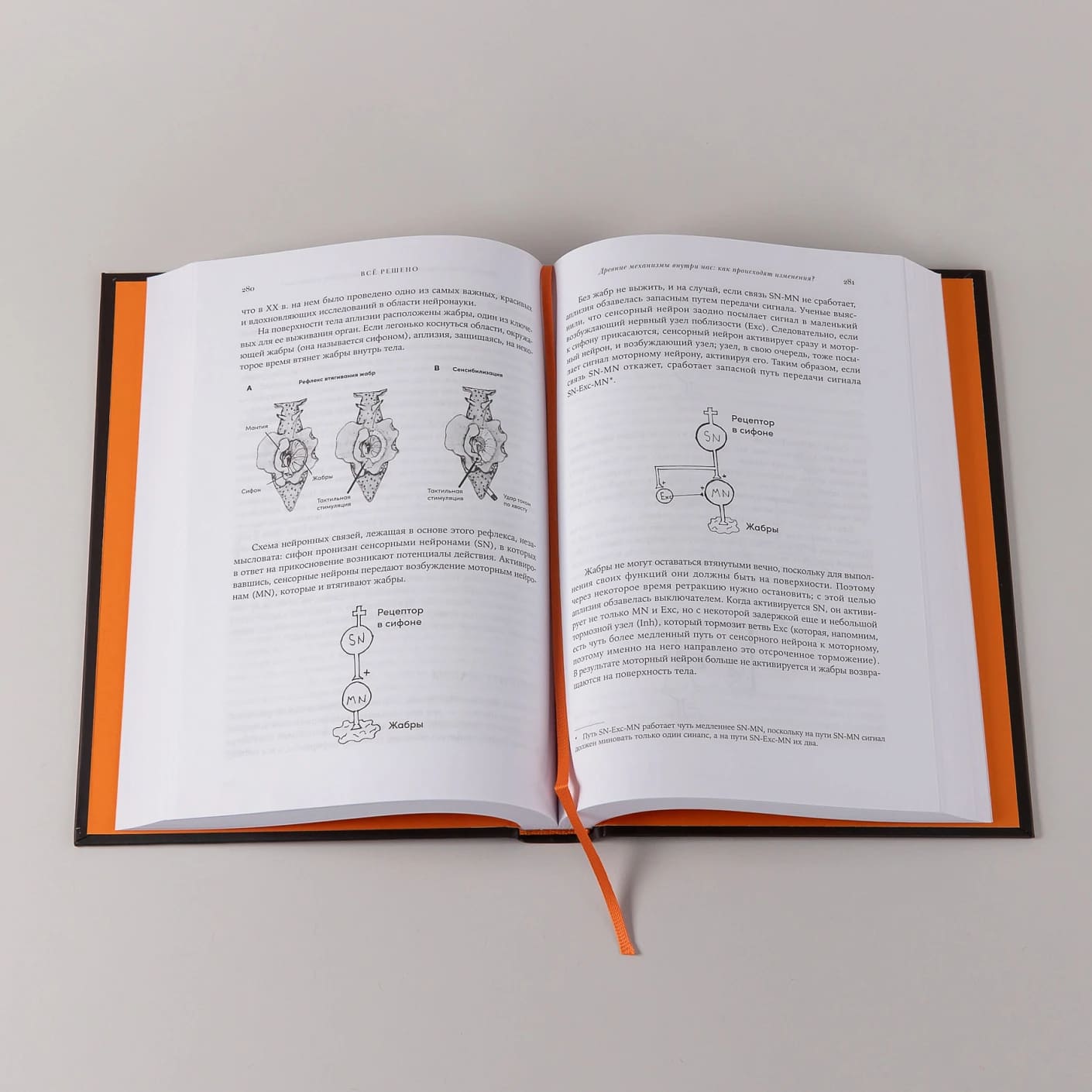 Всё решено: Жизнь без свободы воли