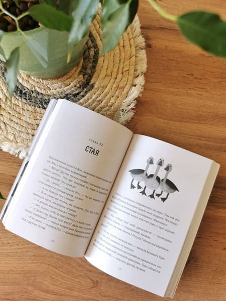 Дикий робот