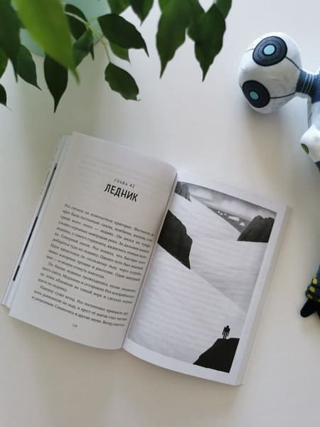 Миссия дикого робота