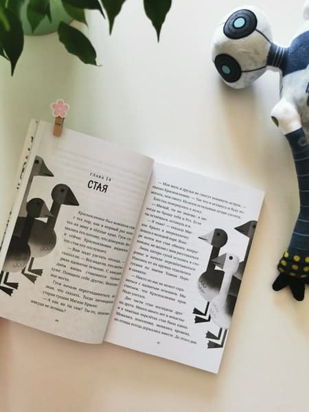 Миссия дикого робота